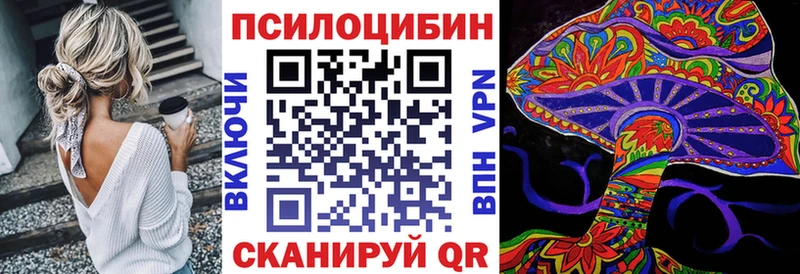 Купить закладки  Сольвычегодск  Галлюциногенные грибы Psilocybe 