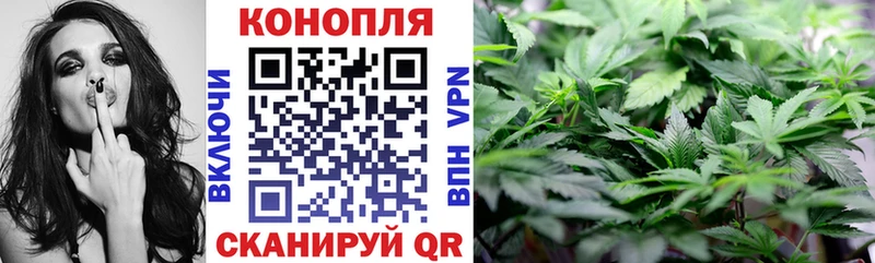 Купить где  Сольвычегодск  Марихуана White Widow 